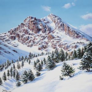 El Gra de Fajol nevat. Vallter