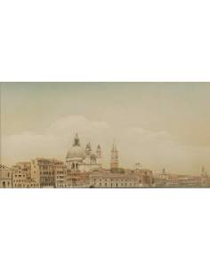 copy of Aflorir VIII