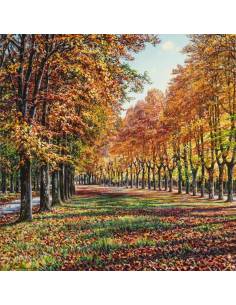 Contrastos de tardor a Sta. Fe del Montseny