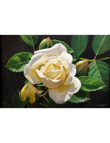 Rosas blancas - Antonio Morano - L'Arcada Galeria d'Art