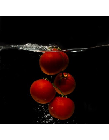Tomates - Ana Sanz - L'Arcada Galeria d'Art