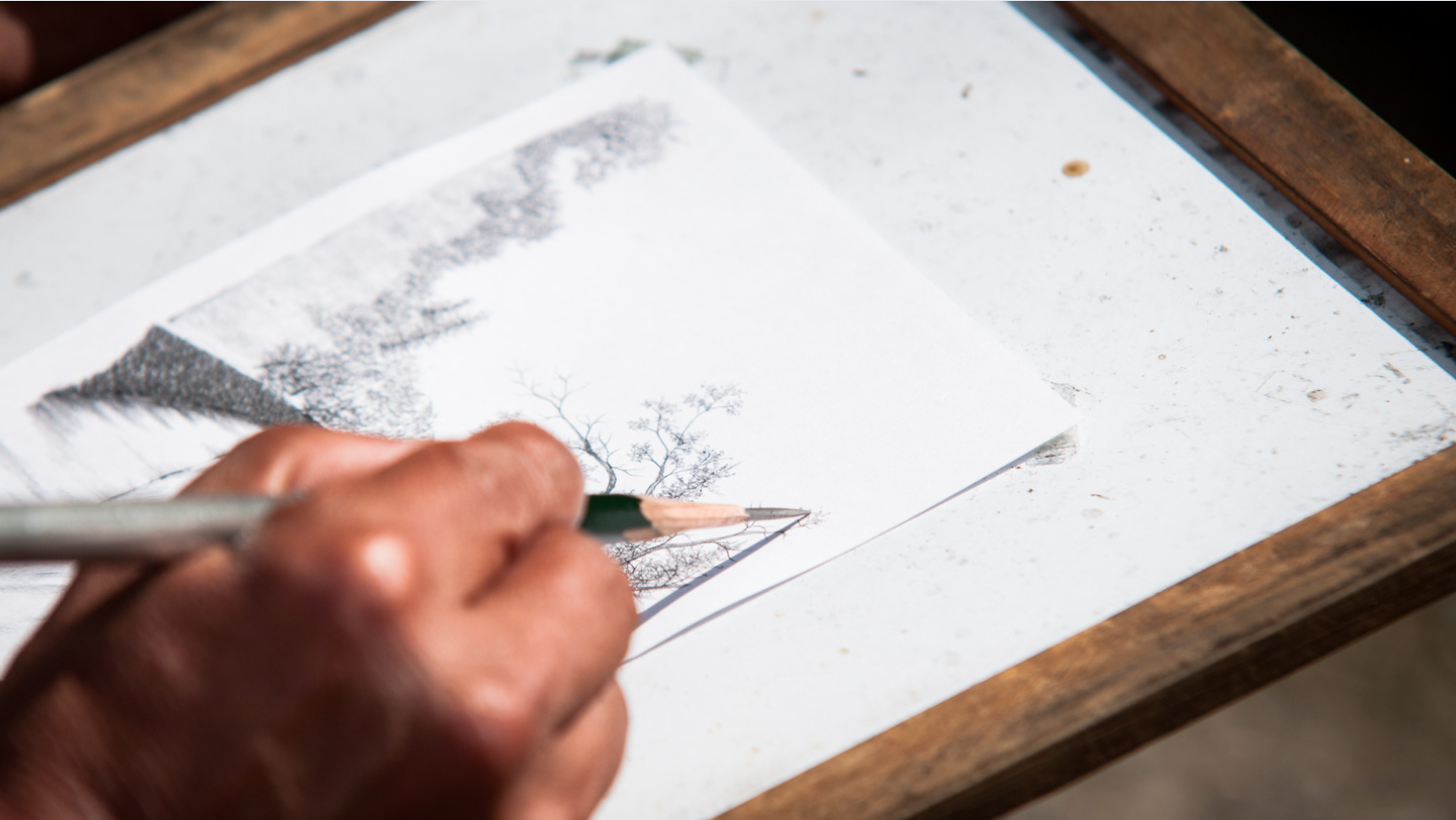 Dibujantes Artísticos