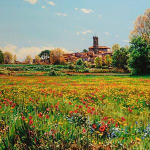 Amarillos en la Pera, Baix Empordà