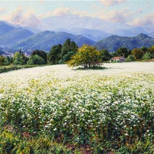 Fajol a Batet a Olot