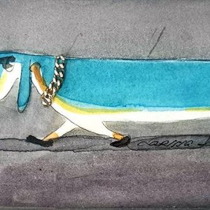 Gonzalo. Serie perros