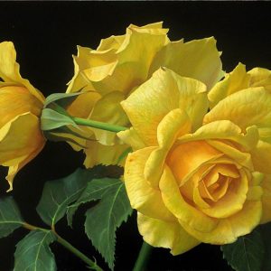 Rosal Amarillo