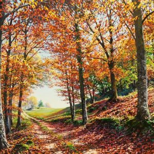 Tardor al camí de les Roques Encantades