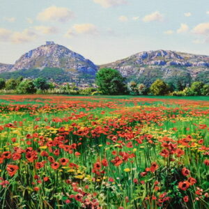 Gallarets al Montgrí - Josep Maria Solà