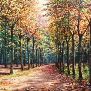 Tardor al Parc de St. Salvador. Sta. Coloma de Farners - Josep Maria Solà