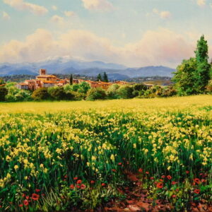 Grocs a Avinyonet de Puigventos - Josep Maria Solà