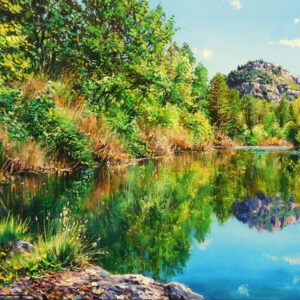 Reflexes a la riera de Merlès - Josep Maria Solà